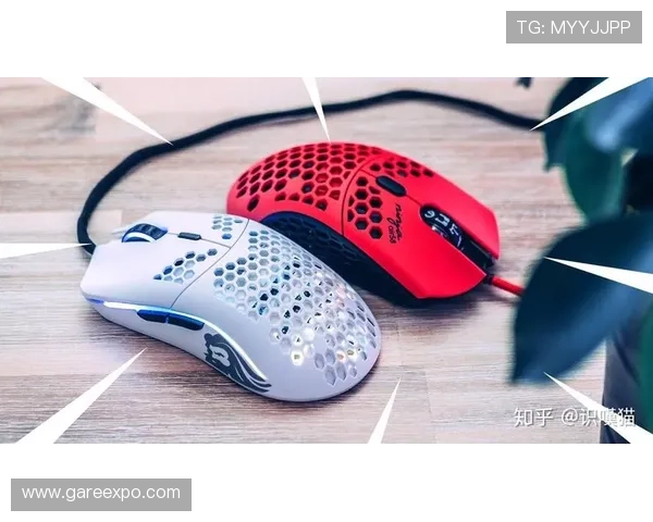 letou官网电子竞技投注指南，掌握最新的电竞赛事投注策略