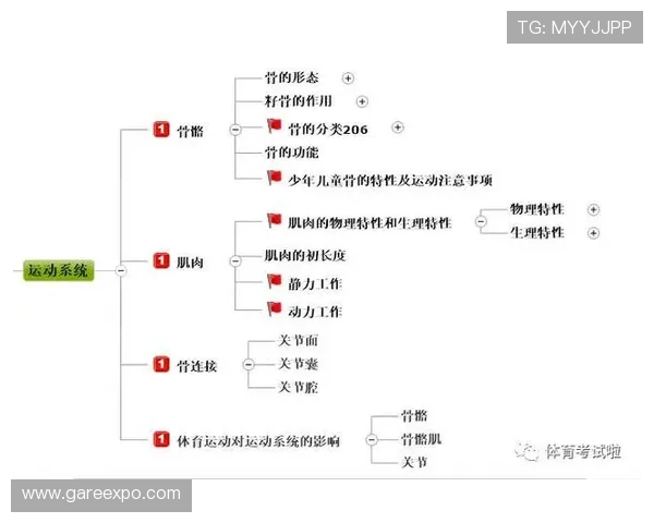 ttp体育：分享体育运动中的健康知识与科学训练方法
